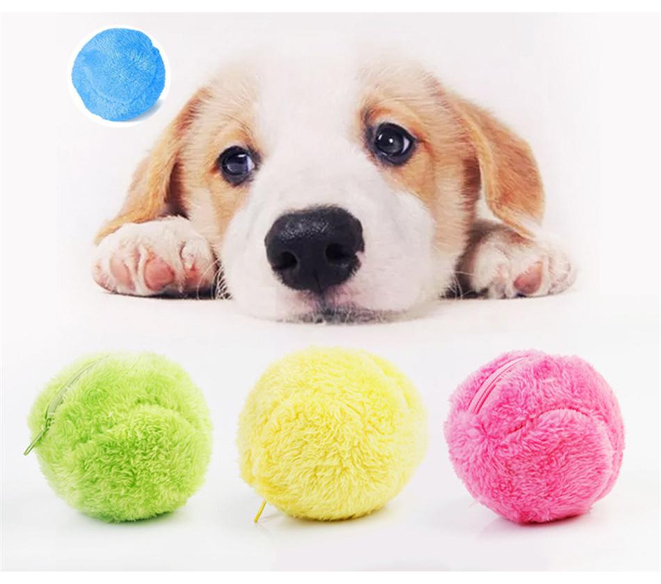 automatic rolling ball for dogs