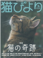 雑誌「猫びより」2019年5月号