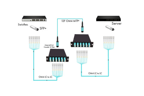 Example of MTP set up with 10G network with server and switches