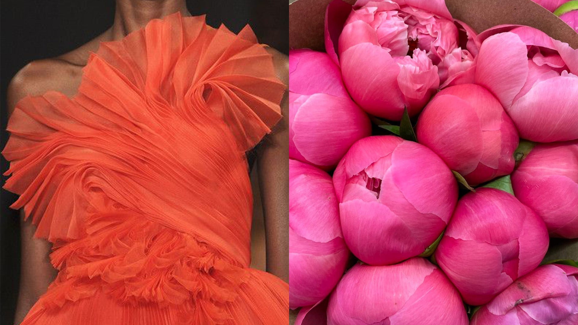 Like Babe + Like Coral Color Inspiration