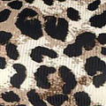 Beige Leopard