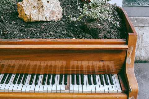 Piano with garden growing from it. A compilation of music and artistry.