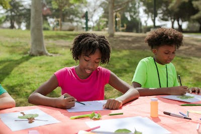 Creating art in nature with community