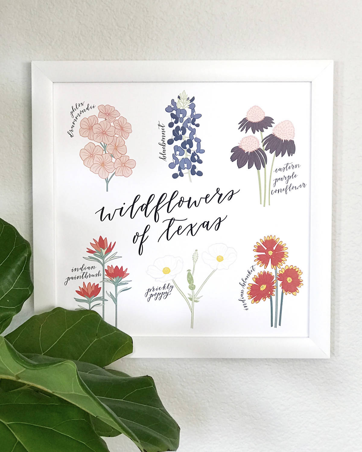 Wildflowers Of Texas Hand Illustrated Wall Art Print Mosaic Makers Collective