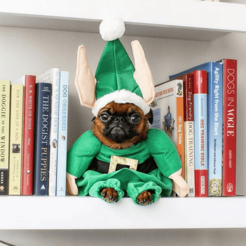 christmas dog - christmas dog treats