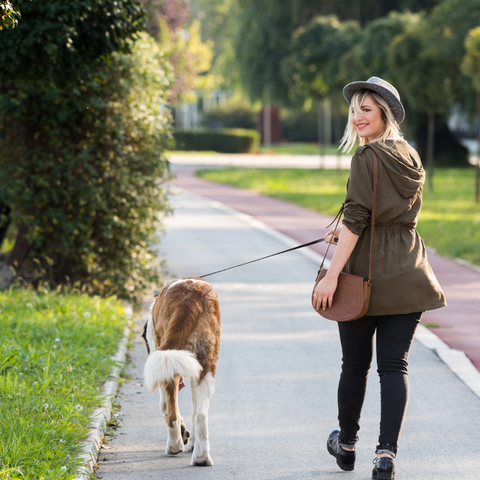 Woman and dog walking