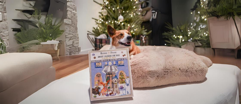 dog calendar