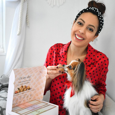 treating dog like royalty, how to pamper the dog, Whip Up Homemade Treats