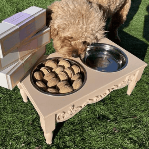 Spring Essentials For Dogs: 8 Must-Have Products - TMSAHM