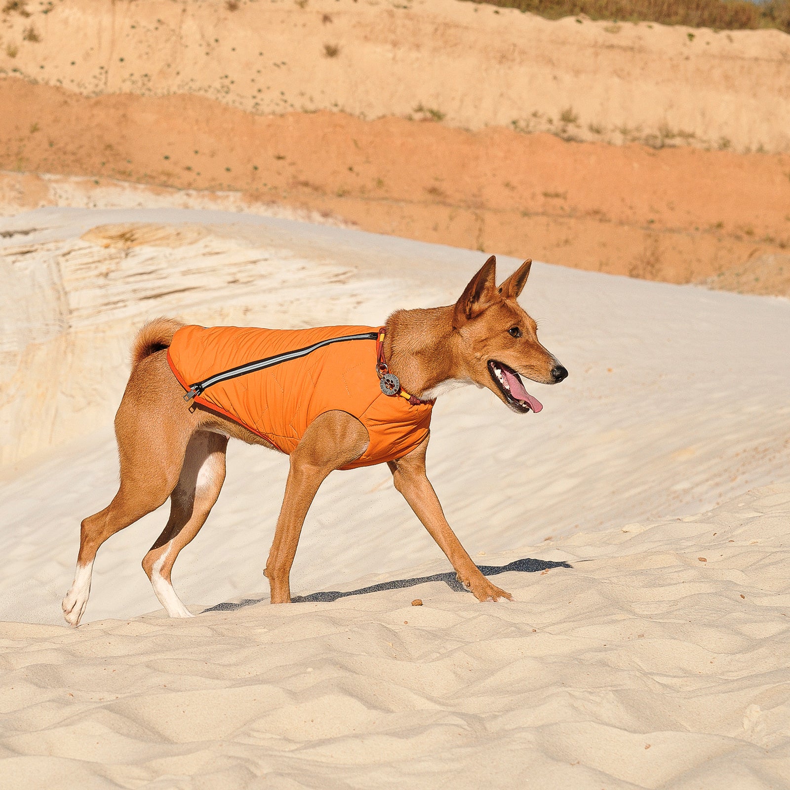 Sustainable Eco-Friendly Dog Jacket / Vest - Made in Ukraine-image-11