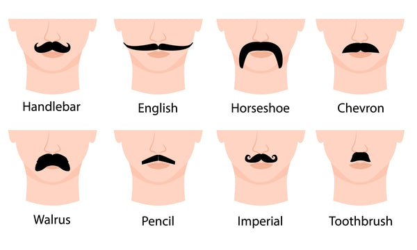 Types Of Moustache