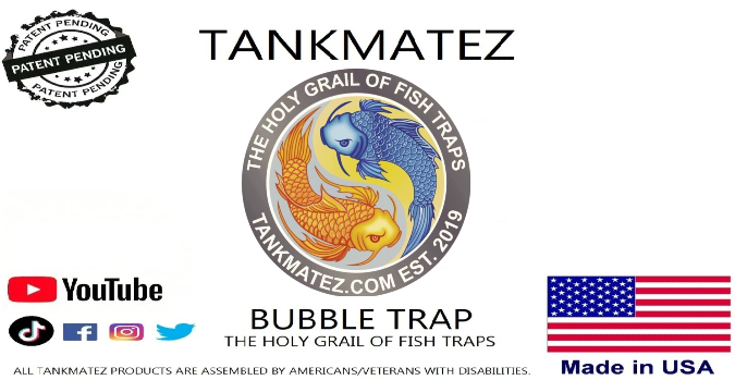 www.tankmatez.com