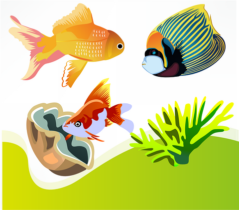 Health Benefits Of Having Pet Fish