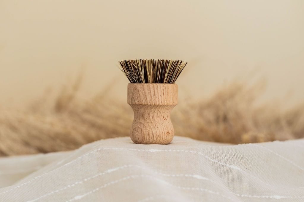 Beechwood Vegetable Brush - DIG + CO – DIG + CO.