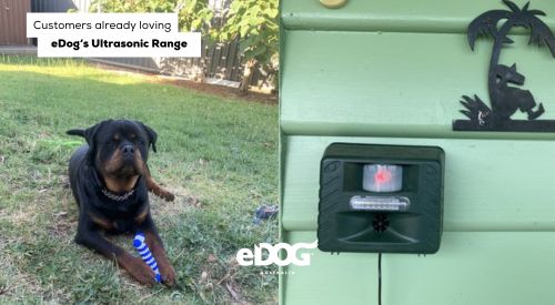 Customers already loving eDog's ultrasonic range