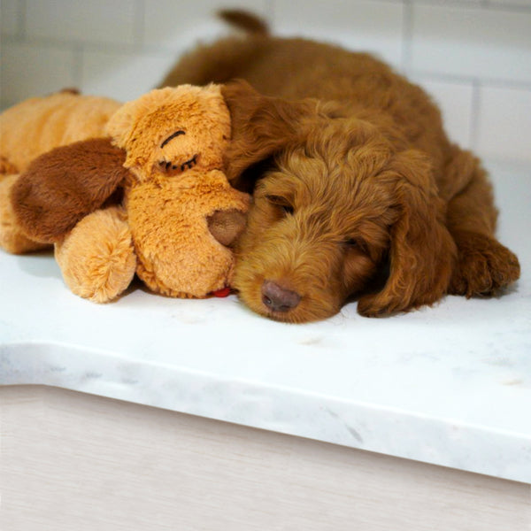 stuffed puppy with heartbeat