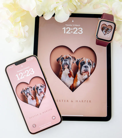 pet portrait of two boxer dogs displayed on watch face, mobile phone screen and tablet