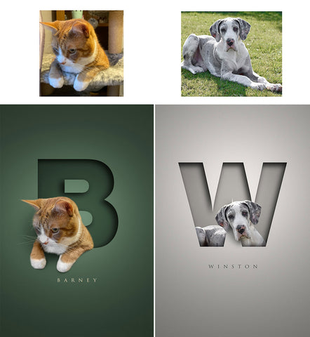 ginger cat and great dane posed in photoshop cutout letters