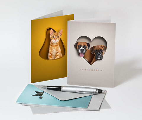 colourful pet protraits from photos on personalised greetings cards