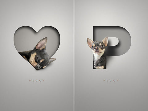 cute chihuahua sleeping in a cutout heart shape and a letter P