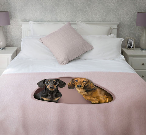 colourful digital pet portrait printed onto dog blanket or dog towel