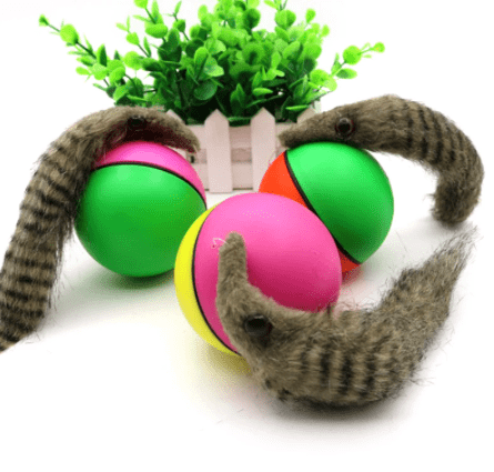 Weazel Ball Motorized Ball Pet Toy For Ages 3 and Up