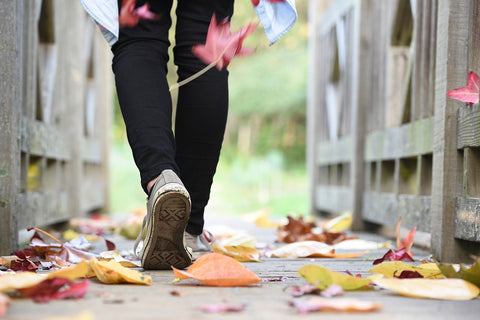 autumn park man walking along a path foliage