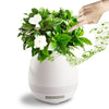 Flowerpot Induction Speaker - Homemark