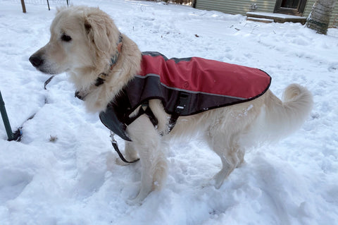 Element waterproof jacket for rain and snow