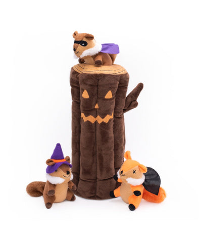 Outward Hound Hide A Squirrel Puzzle Dog Toy - Deer Park, NY - The Barn Pet  Feed & Supplies