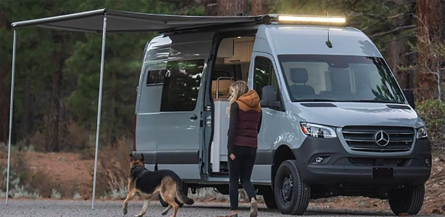 Sprinter Van with Dog Outside