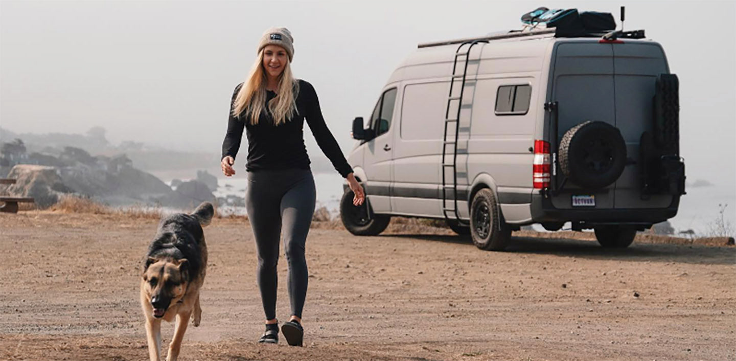 Dog and Sprinter Van