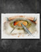 Optometrist Art Cataract Surgery Horizontal Canvas And Poster | Wall Decor Visual Art