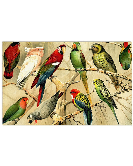 Parrot Gift Horizontal Canvas And Poster | Wall Decor Visual Art
