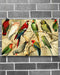 Parrot Gift Horizontal Canvas And Poster | Wall Decor Visual Art