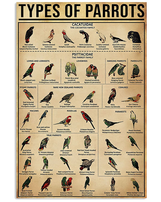 Parrot Types Vertical Canvas And Poster | Wall Decor Visual Art