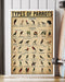 Parrot Types Vertical Canvas And Poster | Wall Decor Visual Art