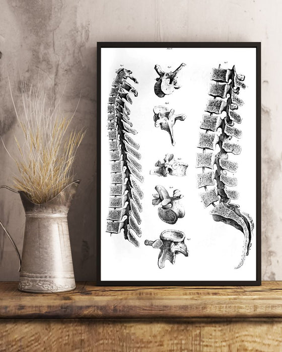Chiropractor Anatomy Vertical Canvas And Poster | Wall Decor Visual Art