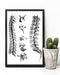 Chiropractor Anatomy Vertical Canvas And Poster | Wall Decor Visual Art