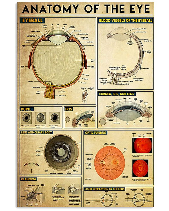 Optometrist Anatomy Of The Eye Vertical Canvas And Poster | Wall Decor Visual Art