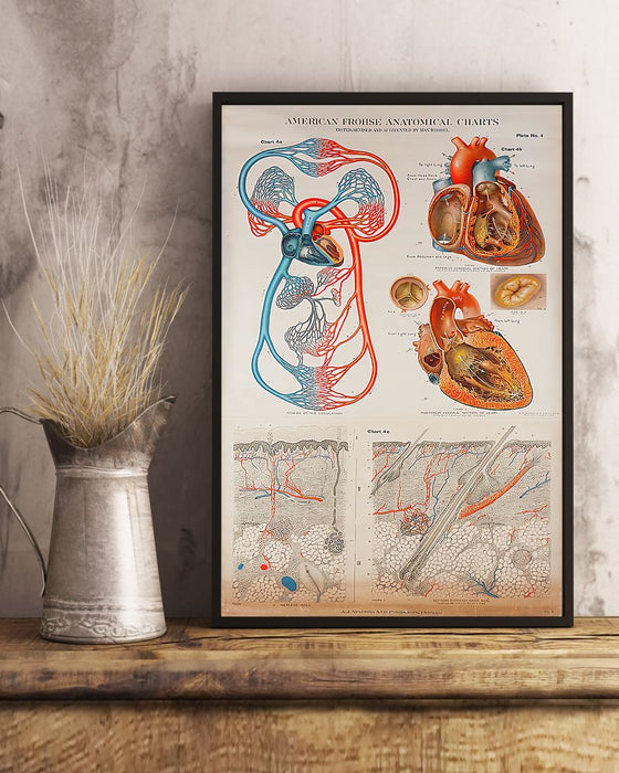 Human Heart Anatomical Cardiologist Vertical Canvas And Poster | Wall Decor Visual Art