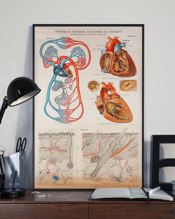 Human Heart Anatomical Cardiologist Vertical Canvas And Poster | Wall Decor Visual Art