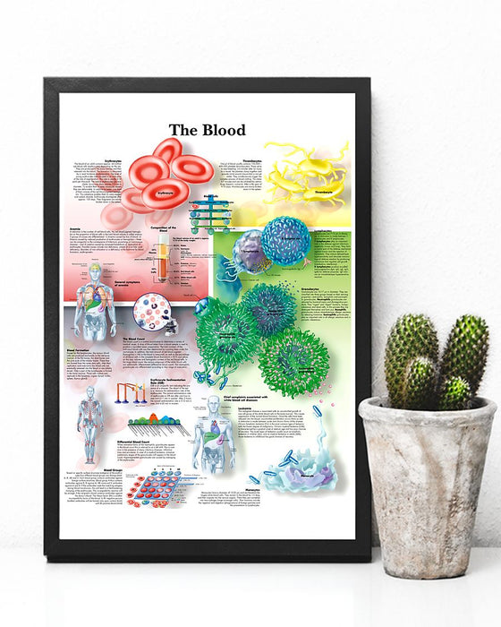 Phlebotomist - The Blood Vertical Canvas And Poster | Wall Decor Visual Art