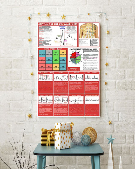 Paramedic Anatomy Of The Egc Waveform Vertical Canvas And Poster | Wall Decor Visual Art