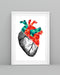 Cardiologist Heart Anatomy Vertical Canvas And Poster | Wall Decor Visual Art