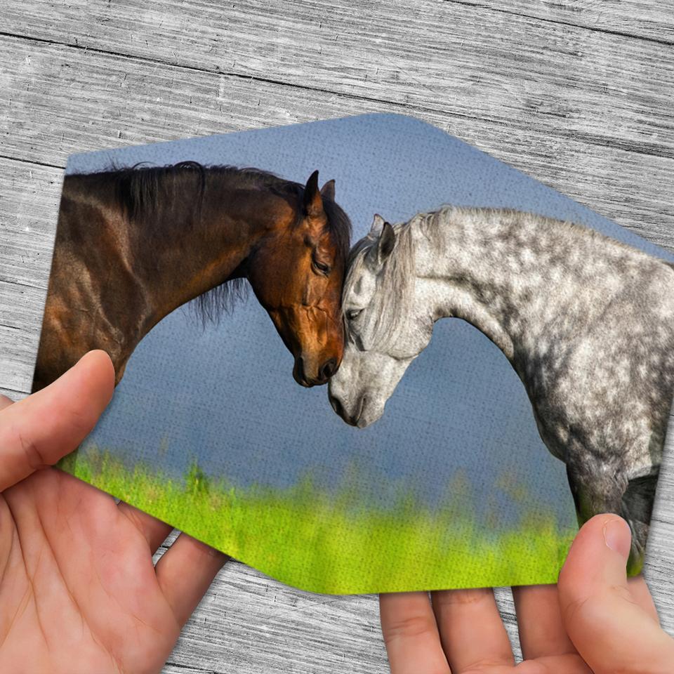 Brown Horse And White Horse Cuddling In Meadow Washable Cloth Mask 1617036288729.jpg