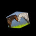 Brown Horse And White Horse Cuddling In Meadow Washable Cloth Mask 1617036289256.jpg