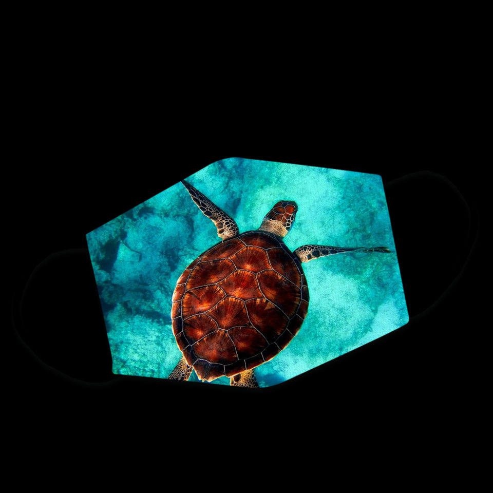 Green Sea Turtle Swims In Sea Water Washable Cloth Mask 1617036325180.jpg