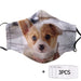 Corgi Face Funny Cloth Face Mask 1617560895760.jpg