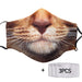 Love Cat Cloth Face Mask 1617560896403.jpg